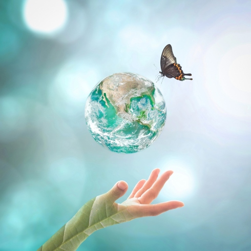 Incarner la paix sur Terre, une conscience à la fois!